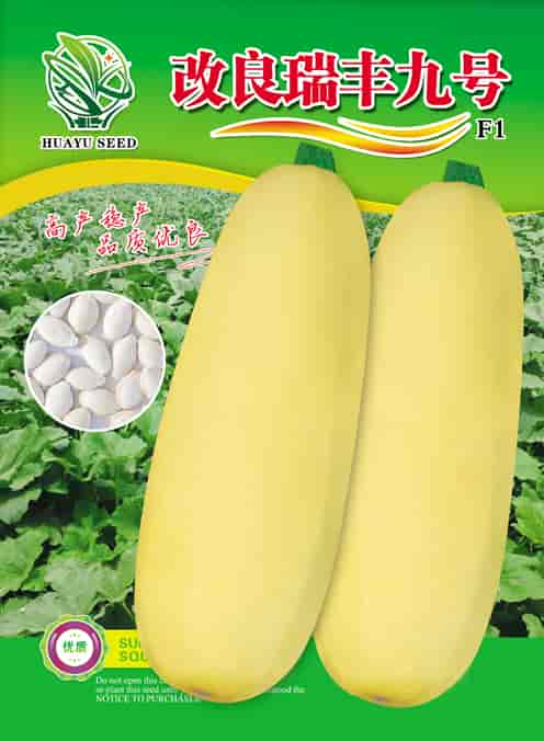 改良瑞丰九号（杂交一代）