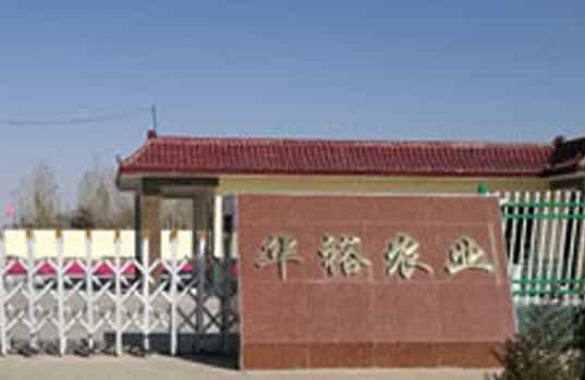 中国·银河集团(galaxy)有限公司